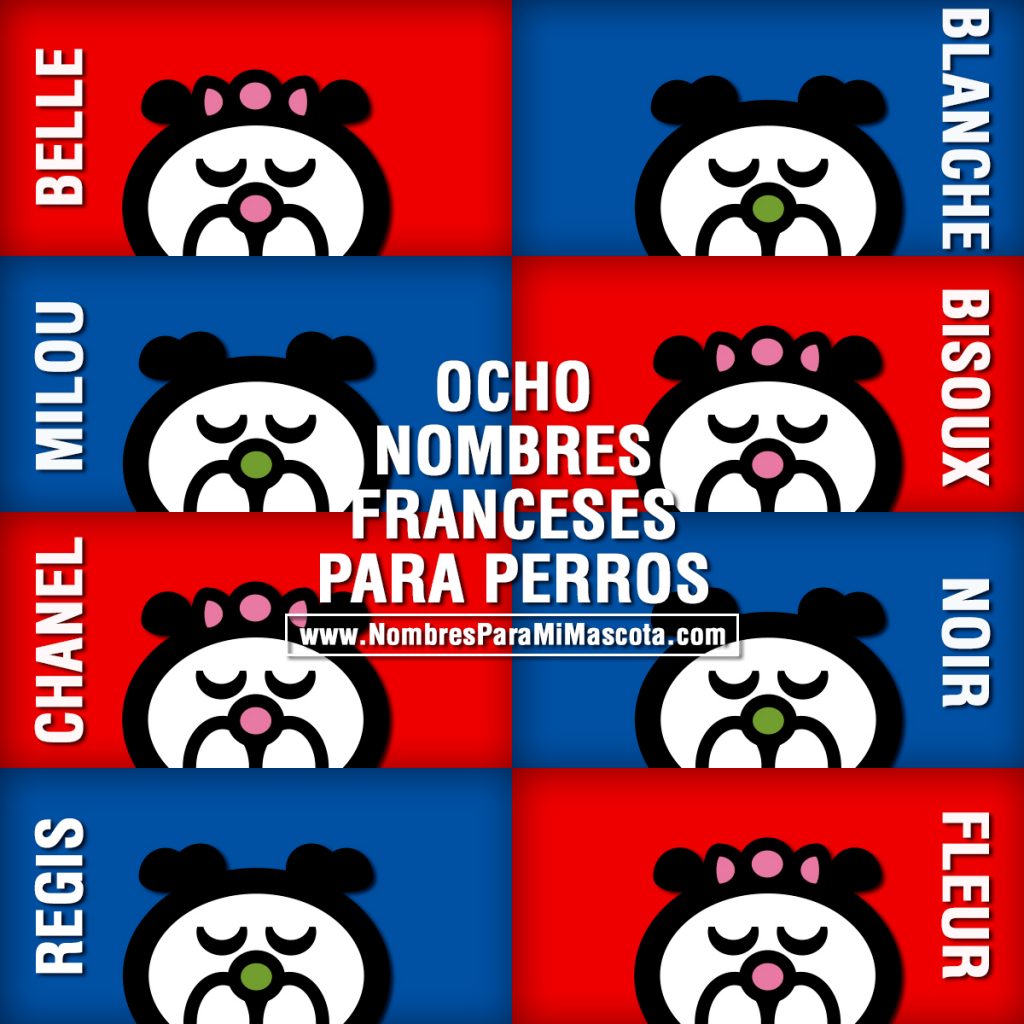 8-NOMBRES-FRANCESES-PERROS