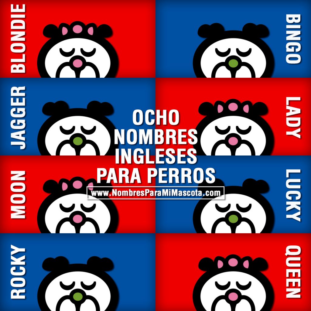 8-NOMBRES-INGLESES-PERROS